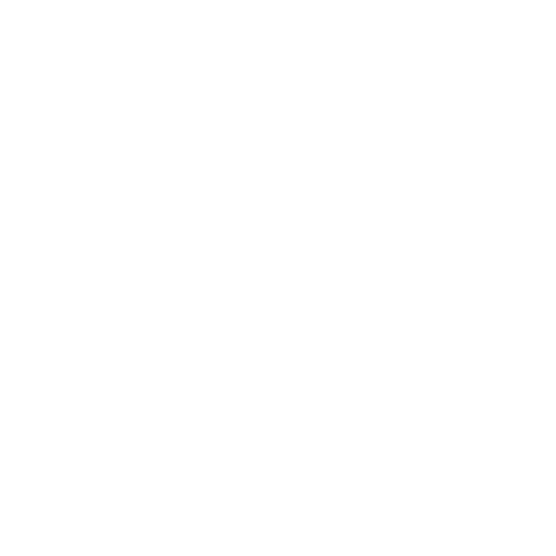 Logo de Econlit American Economics Association
