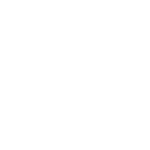 Loog de Naxos Music Library